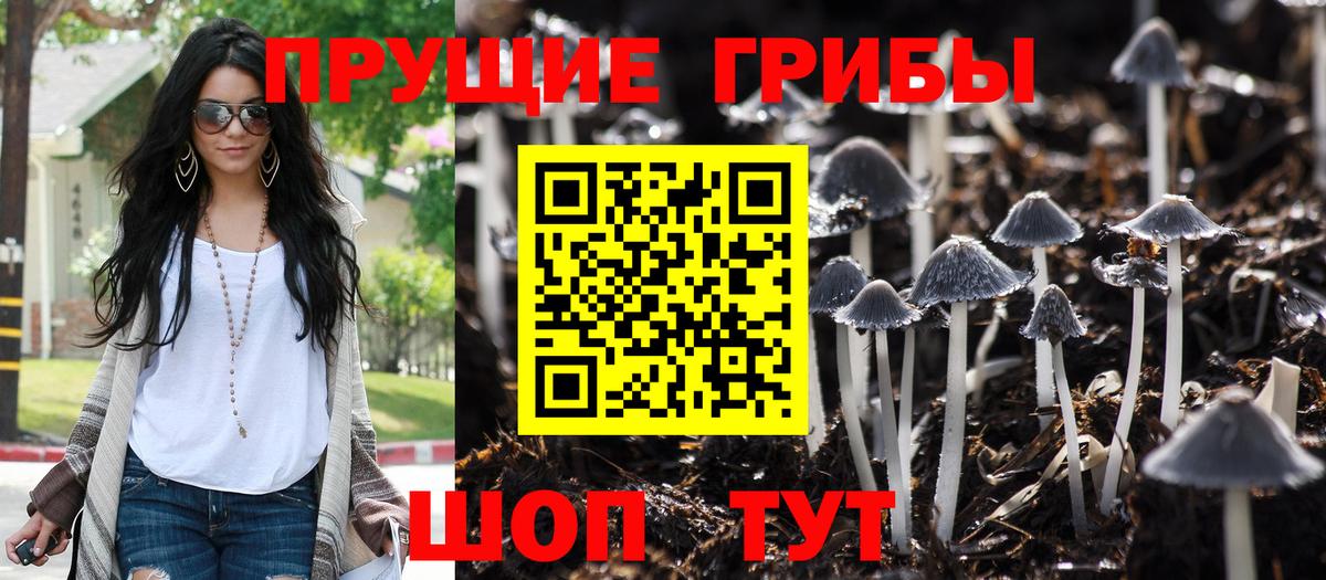 Будённовск  Галлюциногенные грибы ЛСД  Вход с VPN 